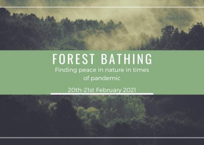 #68 Forest Bathing