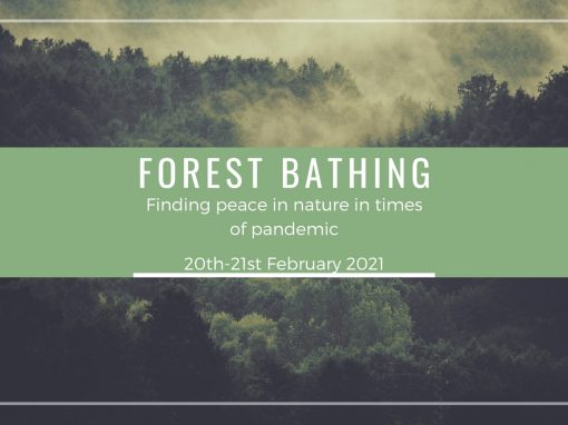 #68 Forest Bathing