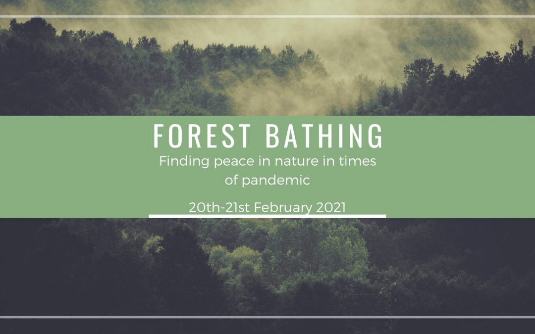 #68 Forest Bathing